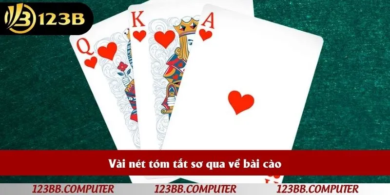 Vài nét tóm tắt sơ qua về bài cào