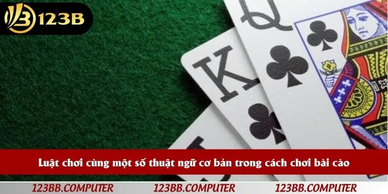 Luật chơi cùng một số thuật ngữ cơ bản trong cách chơi bài cào