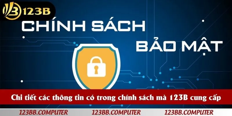 Chi tiết các thông tin có trong chính sách mà 123B cung cấp