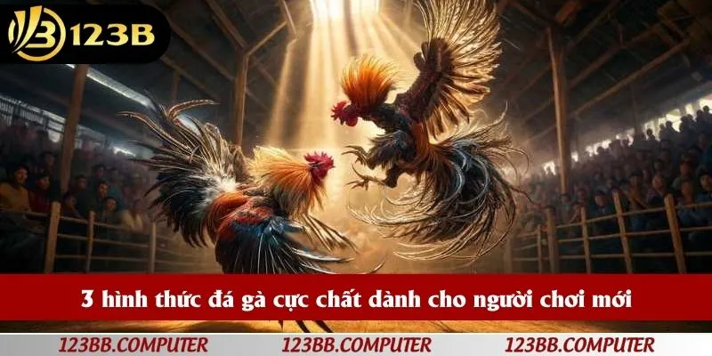 3 hình thức đá gà cực chất dành cho người chơi mới
