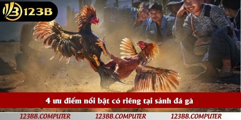 4 ưu điểm nổi bật có riêng tại sảnh đá gà