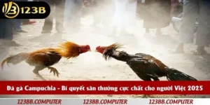 đá gà Campuchia