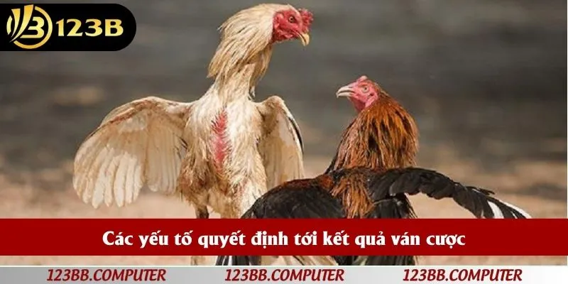 Các yếu tố quyết định tới kết quả ván cược