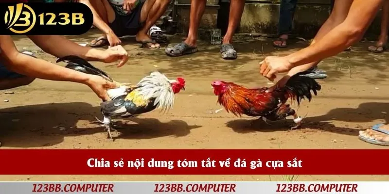 Chia sẻ nội dung tóm tắt về đá gà cựa sắt