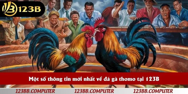 Một số thông tin mới nhất về đá gà thomo tại 123B