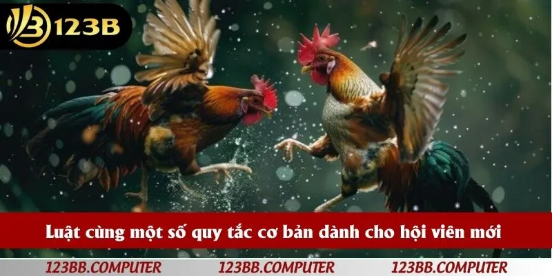 Luật cùng một số quy tắc cơ bản dành cho hội viên mới