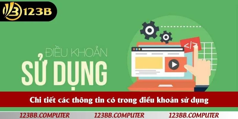 Chi tiết các thông tin có trong điều khoản sử dụng