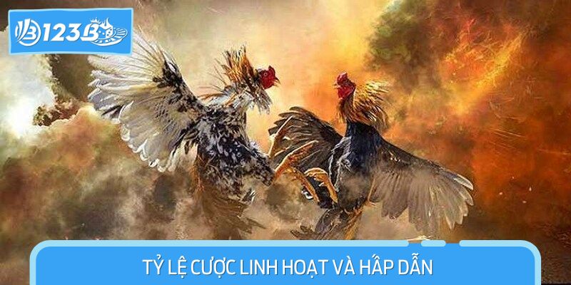 Tỷ lệ kèo cược hấp dẫn