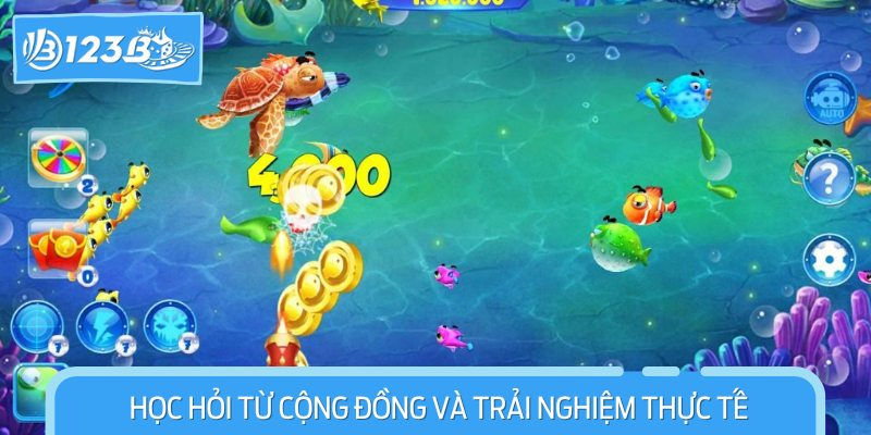 Học hỏi từ cộng đồng và trải nghiệm thực tế